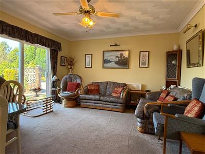 Picture 11